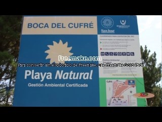 Programa 227 – 1/2/2019